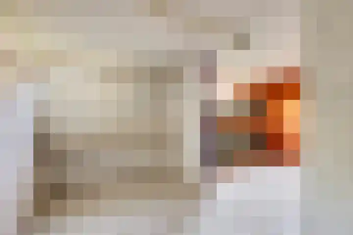 Jos Klijnenlaan 278 Geleen thumbnail 25