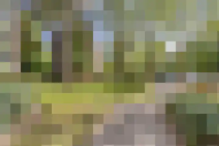 Jos Klijnenlaan 278 Geleen thumbnail 27