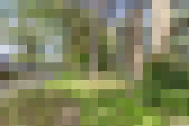 Jos Klijnenlaan 278 Geleen thumbnail 28