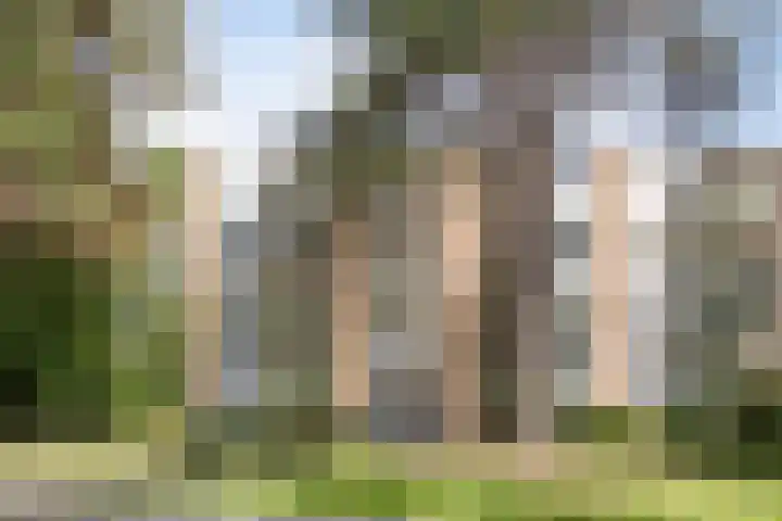 Jos Klijnenlaan 278 Geleen thumbnail 8