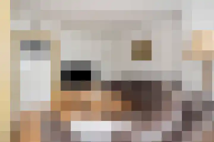 Jos Klijnenlaan 30 Geleen thumbnail 8