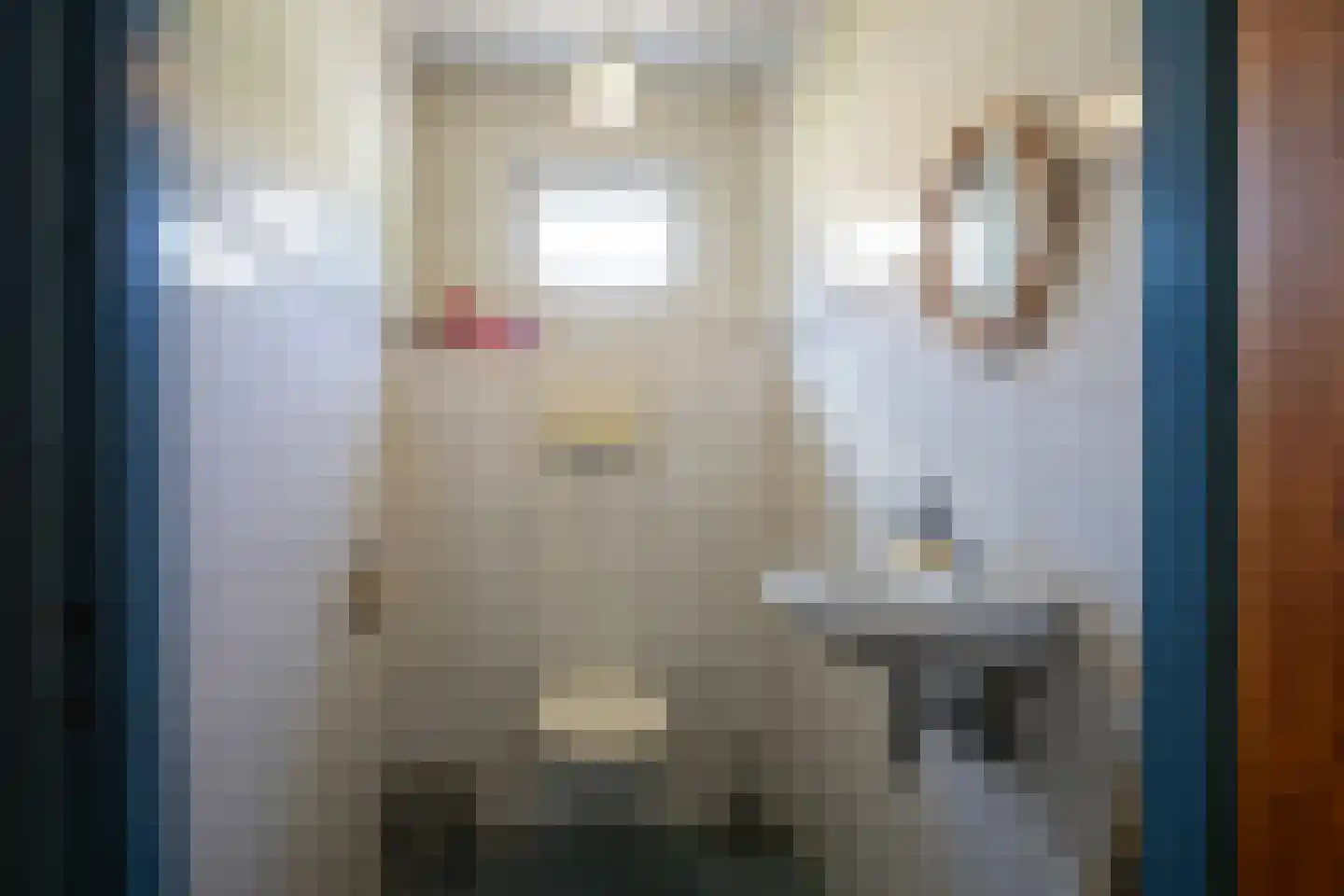 Jos Klijnenlaan 610 Geleen thumbnail 10