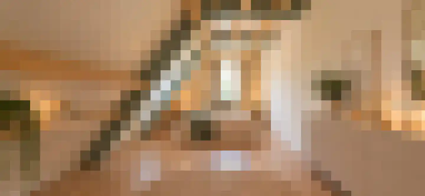 Jos Klijnenlaan 610 Geleen thumbnail 18
