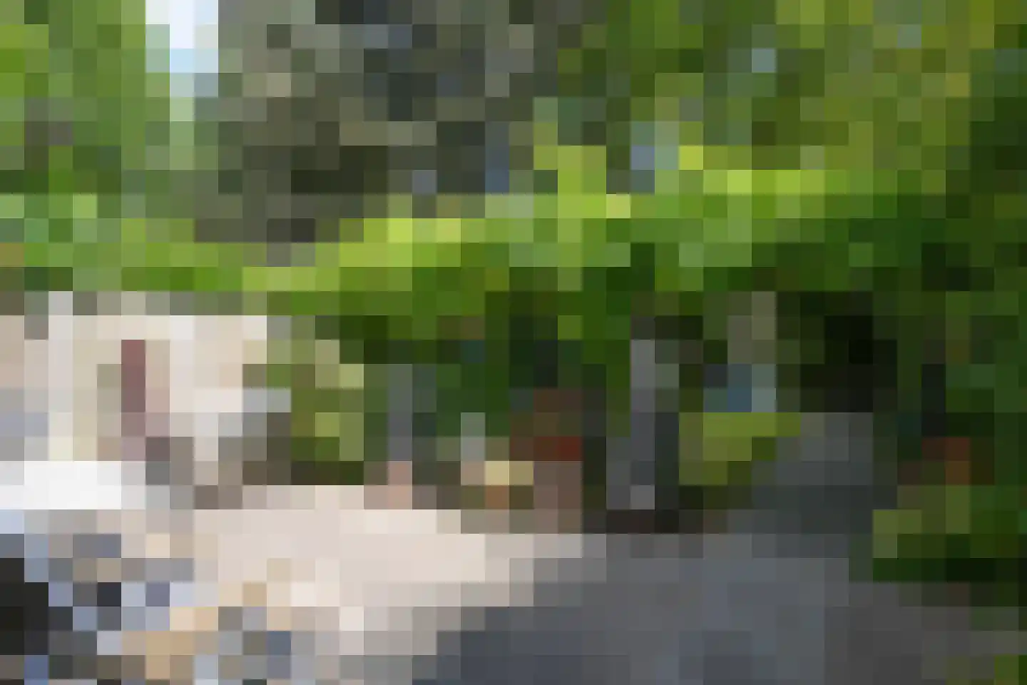 Jos Klijnenlaan 610 Geleen thumbnail 31