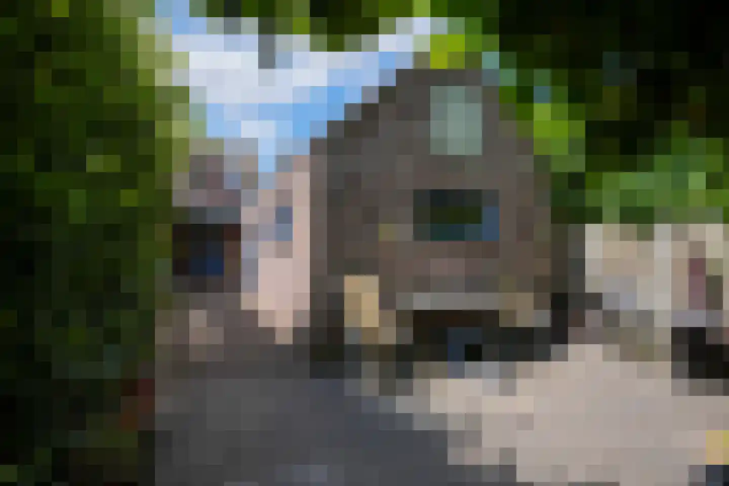 Jos Klijnenlaan 610 Geleen thumbnail 32