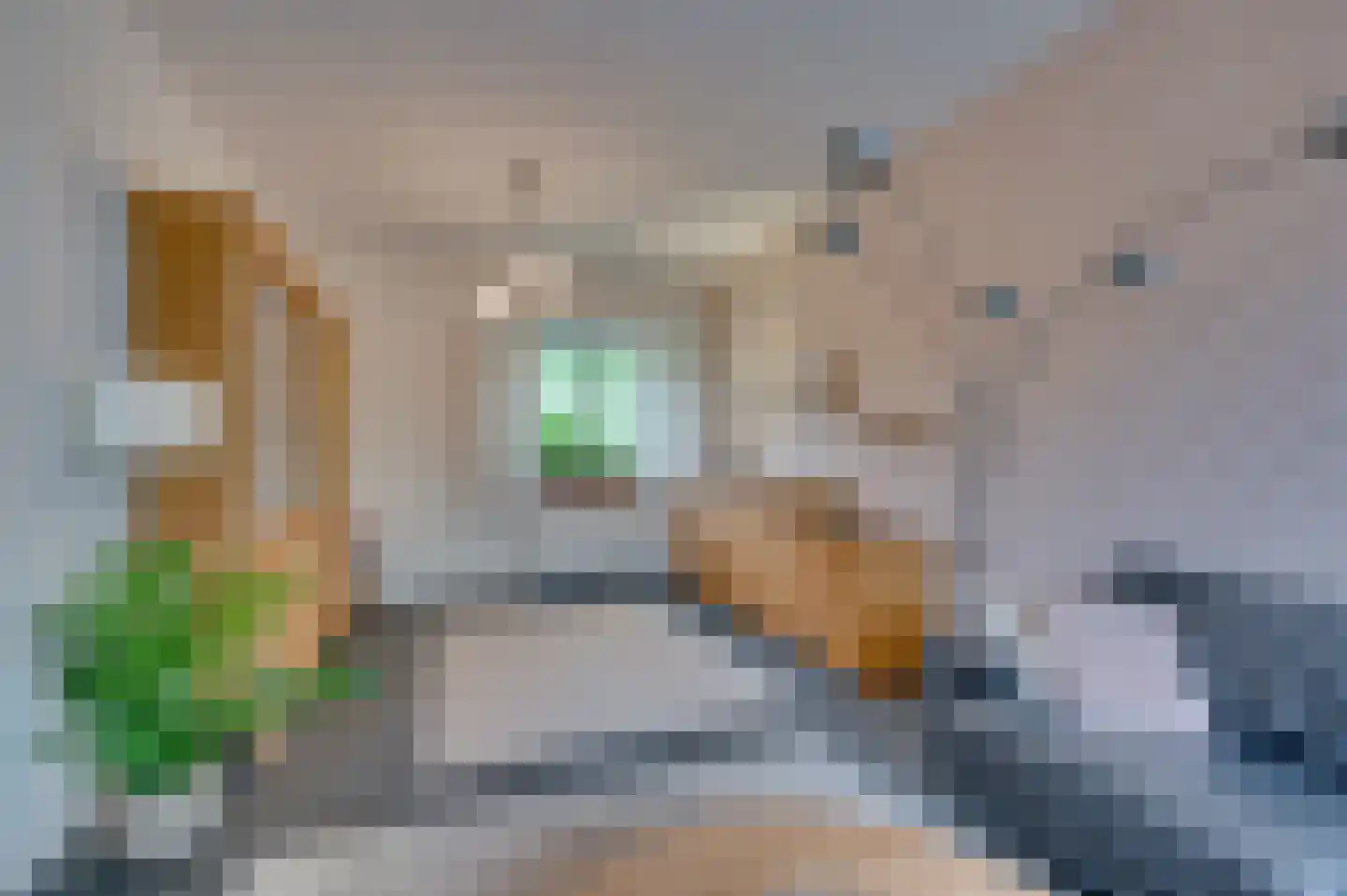 Jos Klijnenstraat 7 Venlo thumbnail 16