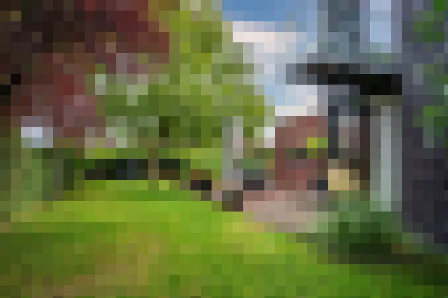 Jos Klijnenstraat 7 Venlo thumbnail 49