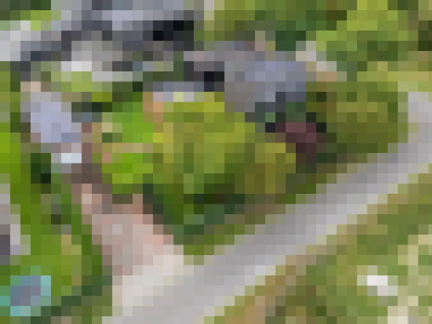 Jos Klijnenstraat 7 Venlo thumbnail 67