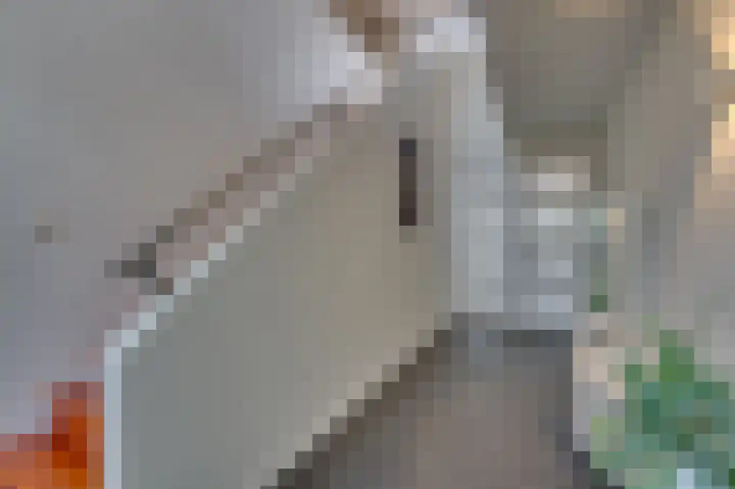 Jos Klijnenstraat 7 Venlo thumbnail 8