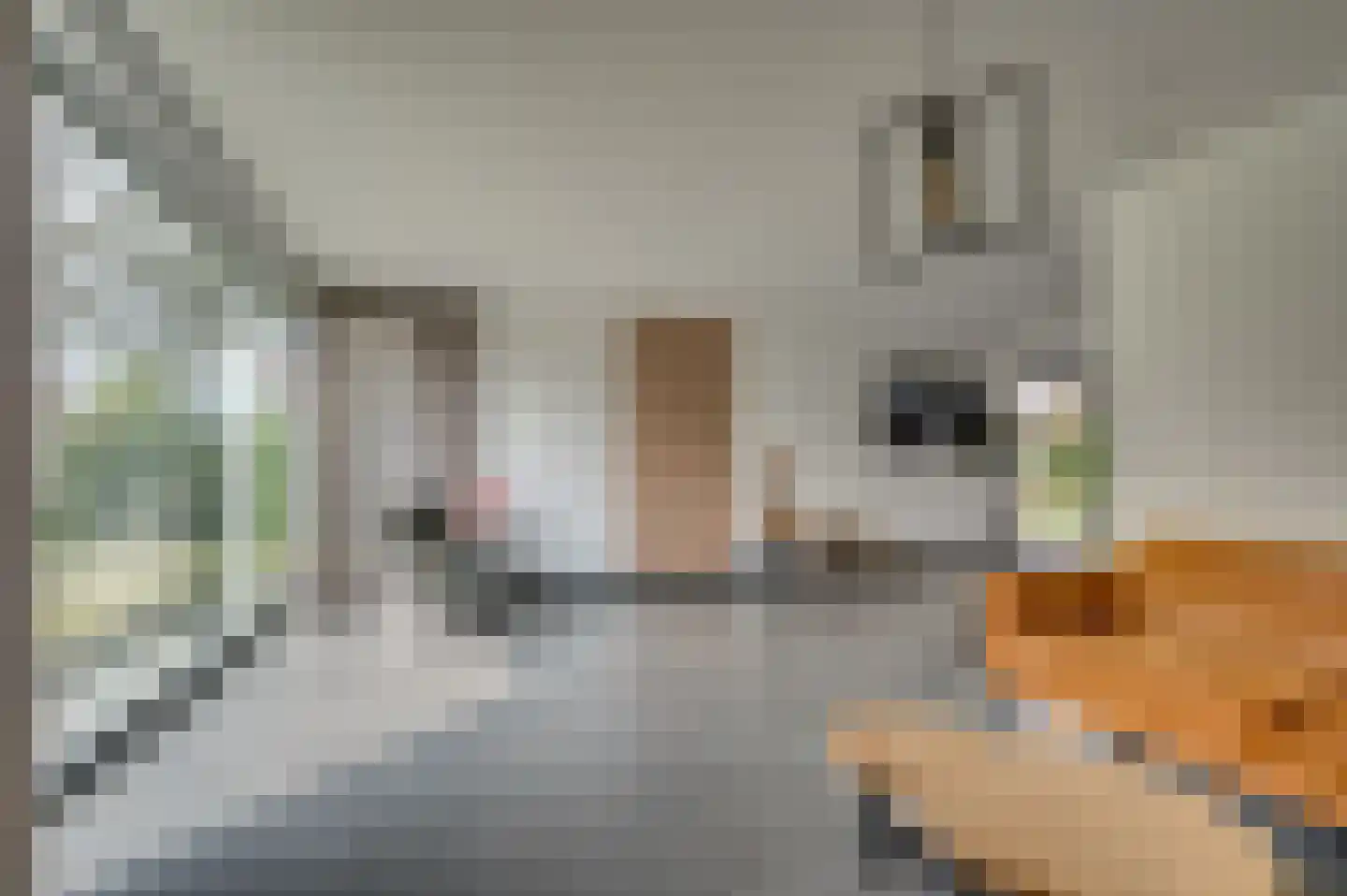 Jos Klijnenstraat 9 Venlo thumbnail 11