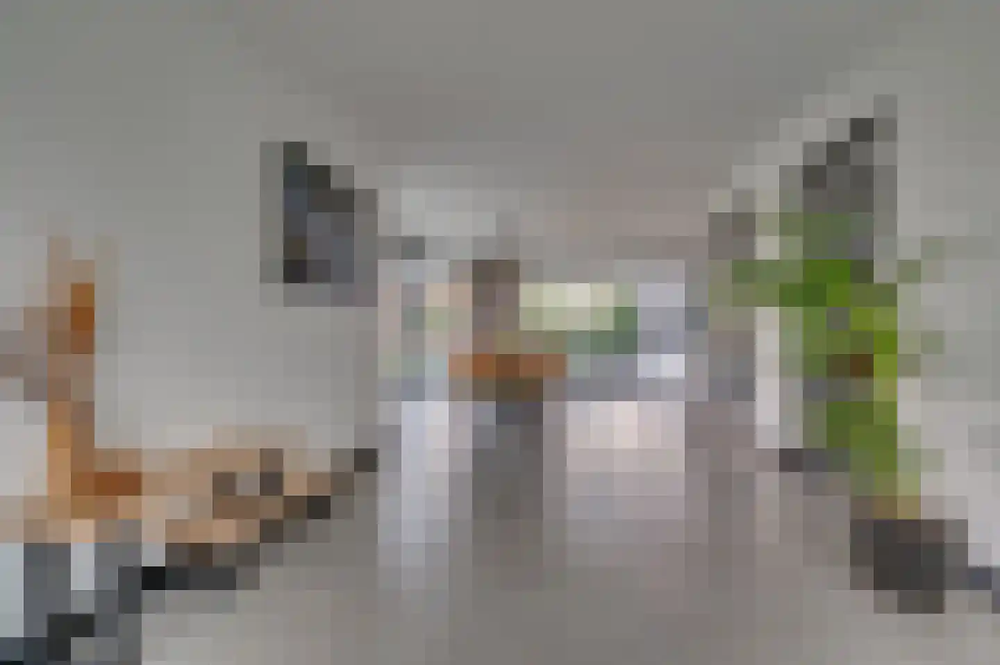 Jos Klijnenstraat 9 Venlo thumbnail 13