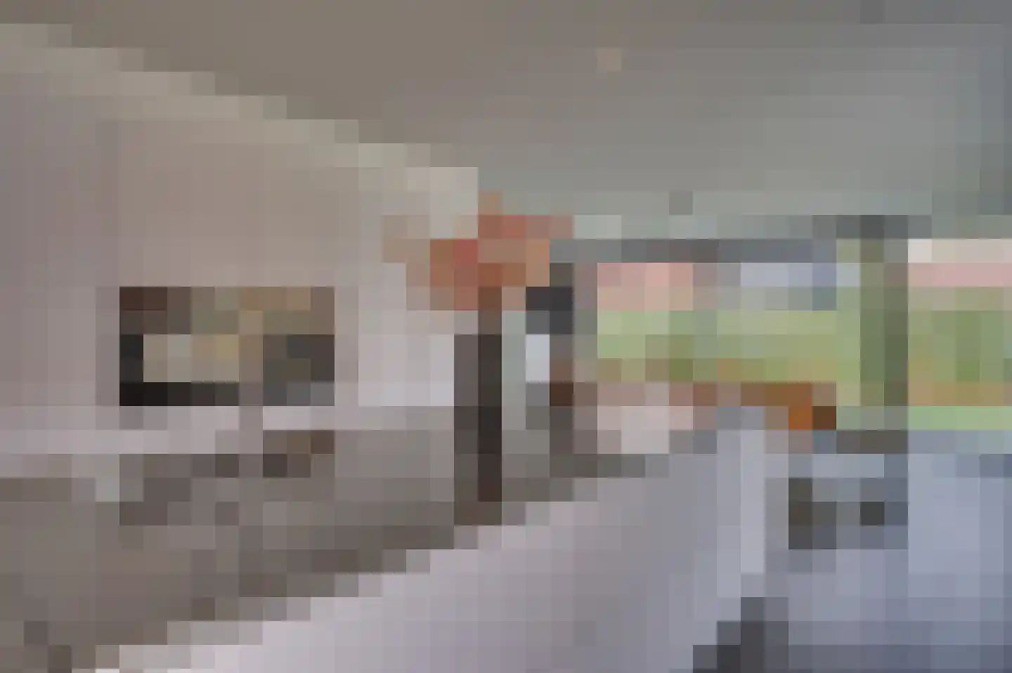 Jos Klijnenstraat 9 Venlo thumbnail 22