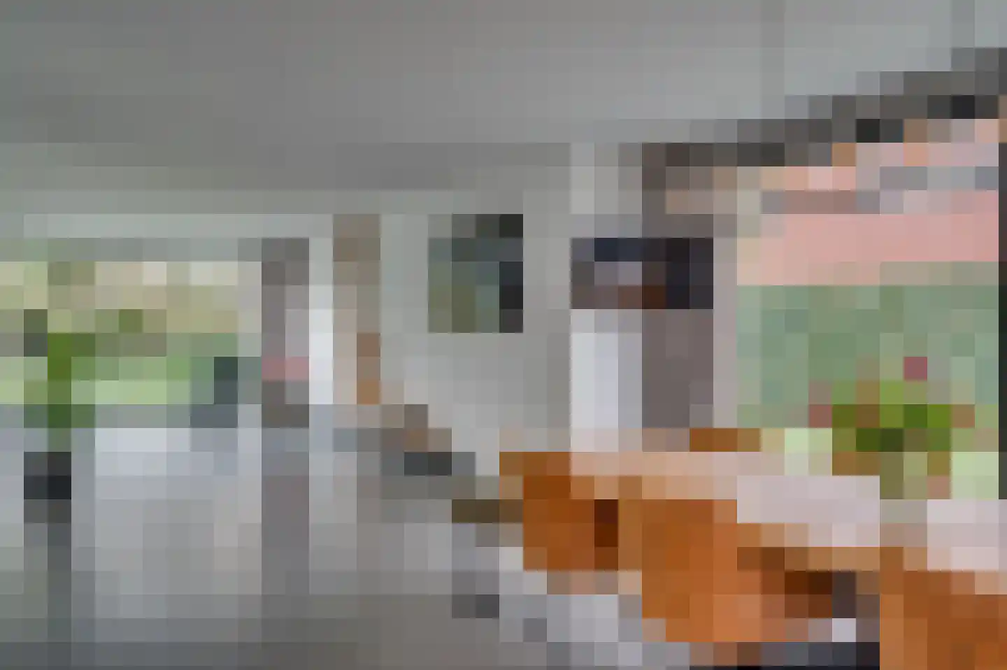 Jos Klijnenstraat 9 Venlo thumbnail 26