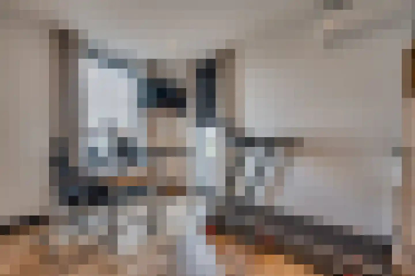 Jos Klijnenstraat 9 Venlo thumbnail 44