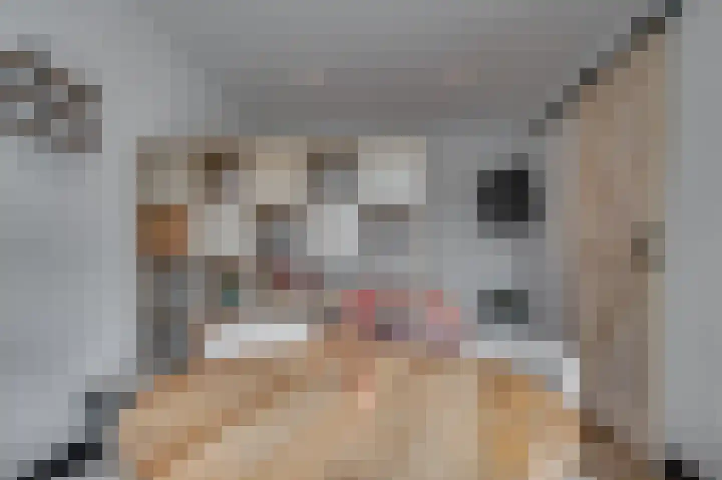 Jos Klijnenstraat 9 Venlo thumbnail 68