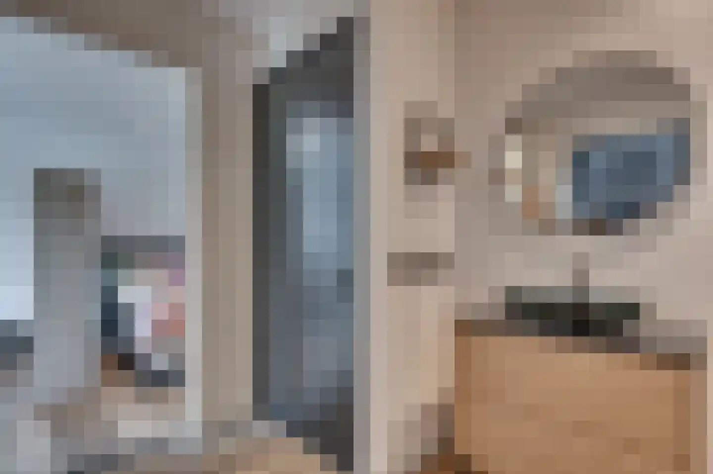 Jos Klijnenstraat 9 Venlo thumbnail 72