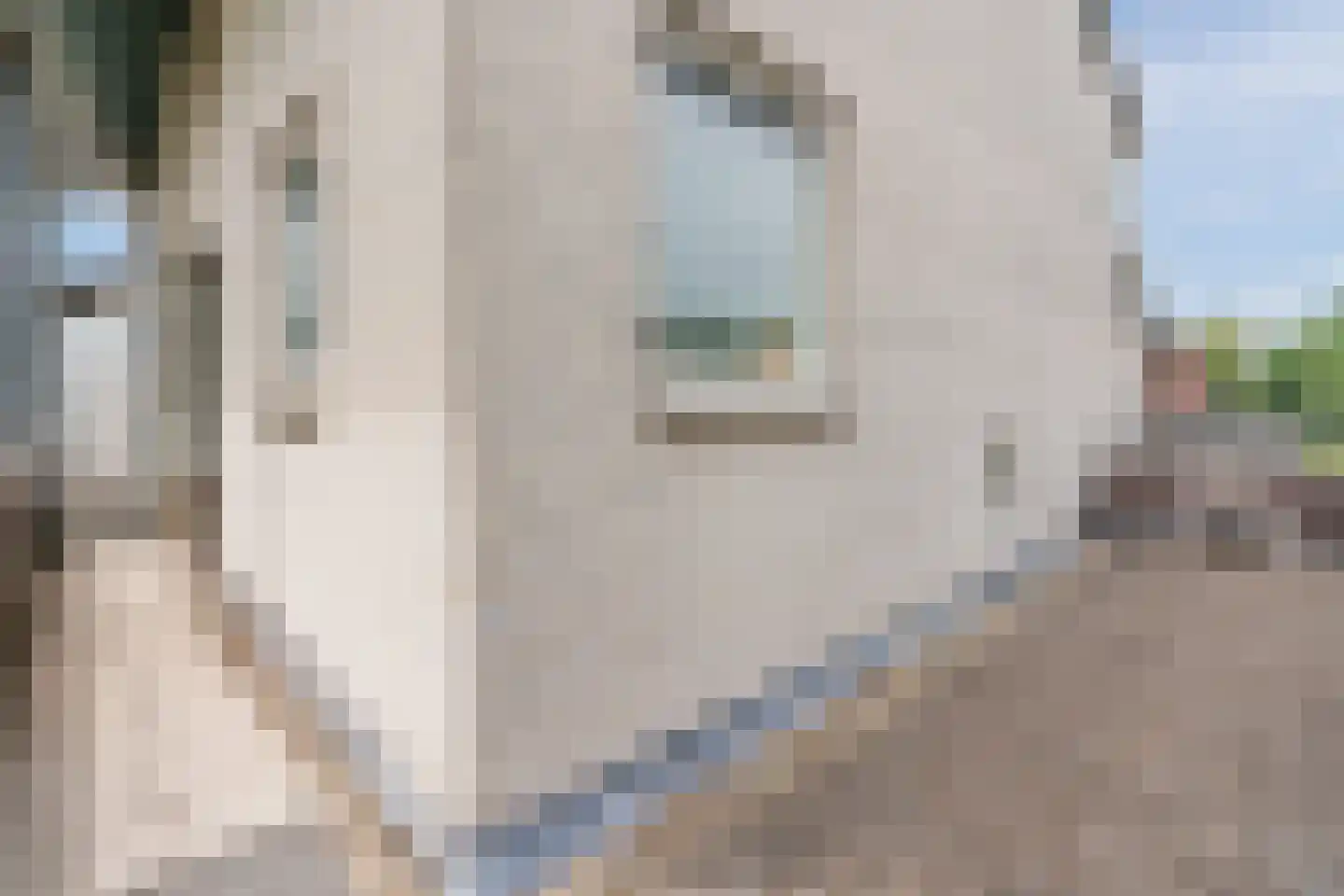 Jos van Aalderenlaan 16 Hoogeveen thumbnail 11