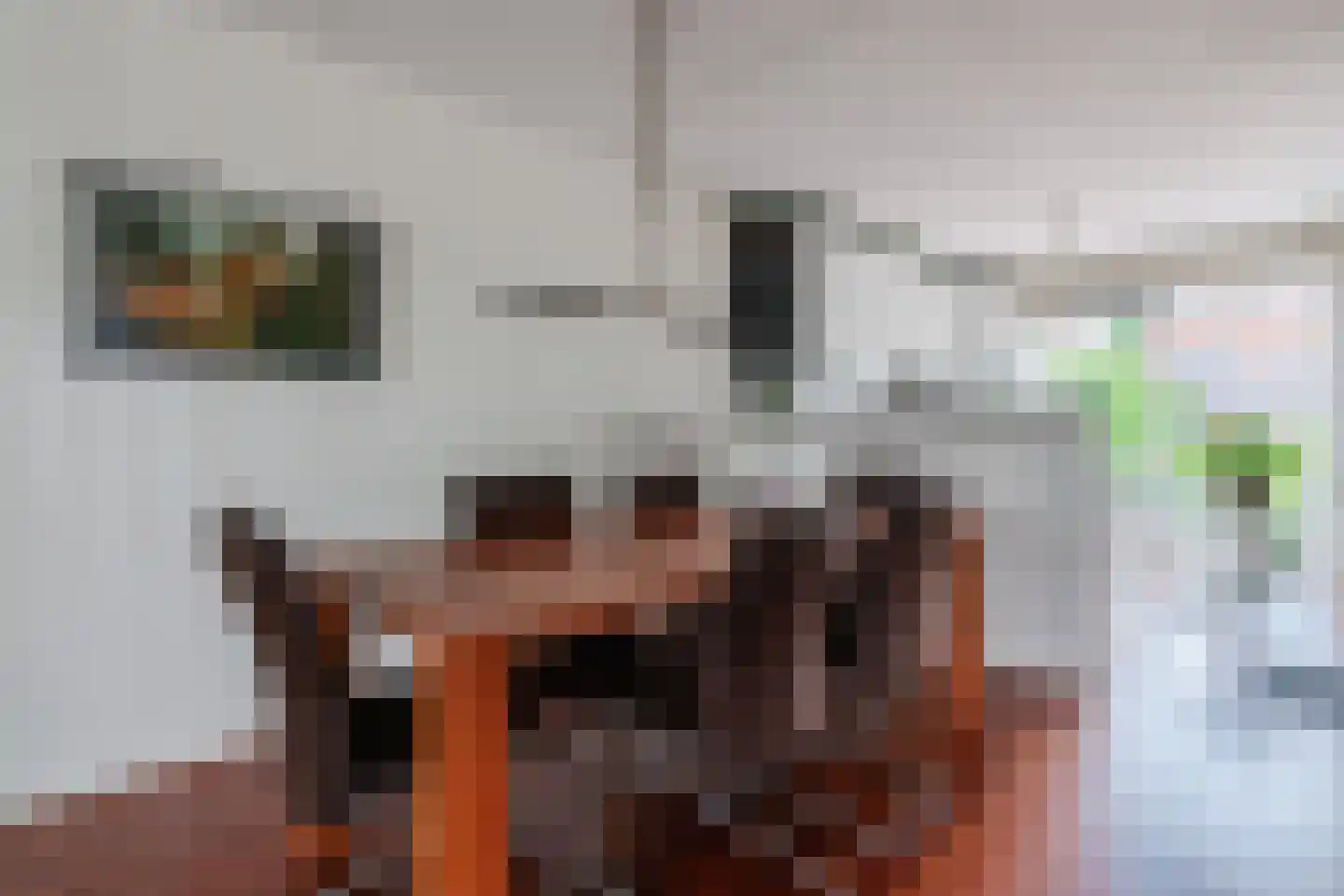 Jos van Aalderenlaan 16 Hoogeveen thumbnail 19