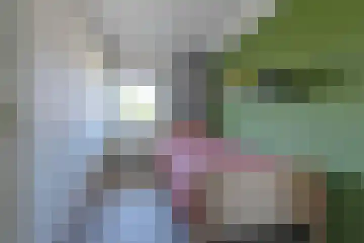Jos van Aalderenlaan 72 Hoogeveen thumbnail 31