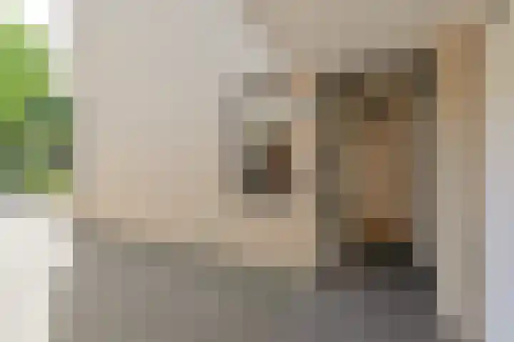 Jos van Aalderenlaan 72 Hoogeveen thumbnail 4