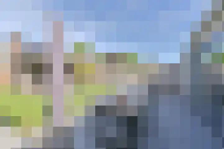 Jos van Aalderenlaan 72 Hoogeveen thumbnail 40