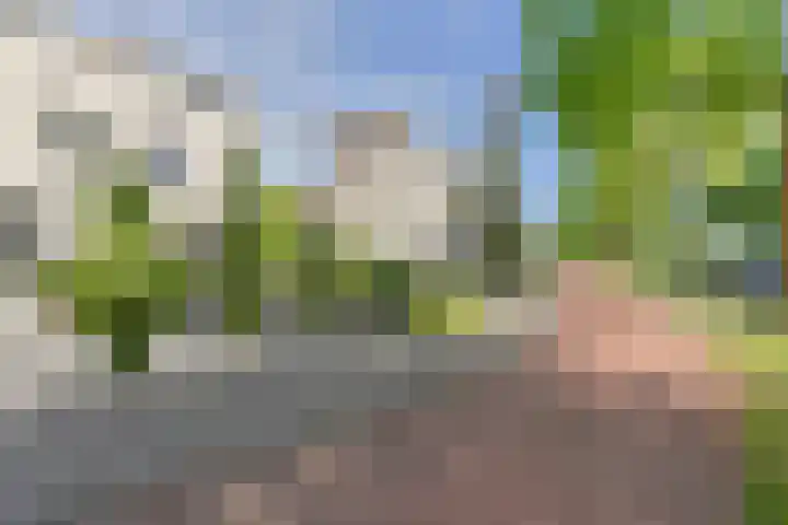 Jos van Aalderenlaan 72 Hoogeveen thumbnail 47