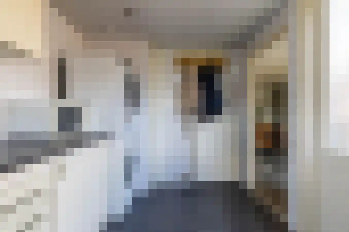 José Vigevenoweg 11 Sumar thumbnail 17