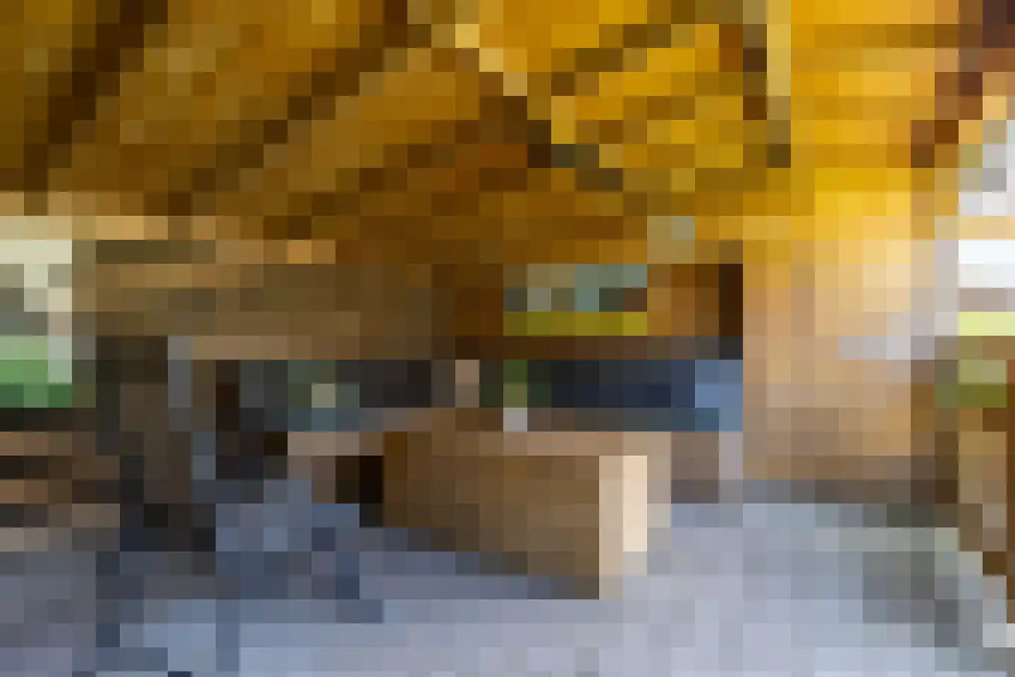 José Vigevenoweg 11 Sumar thumbnail 21