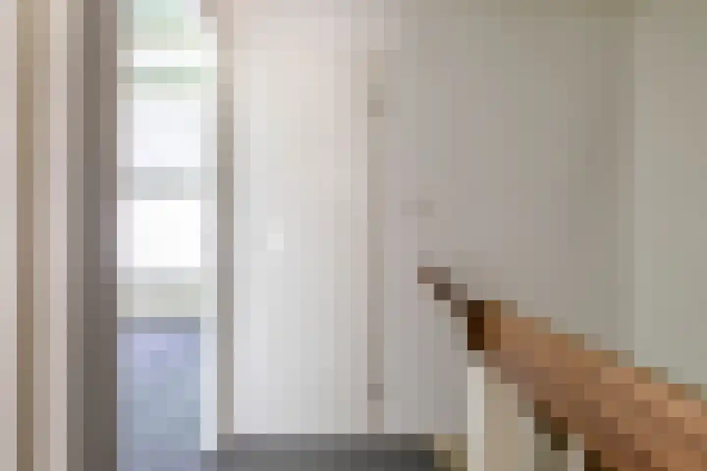 José Vigevenoweg 11 Sumar thumbnail 35