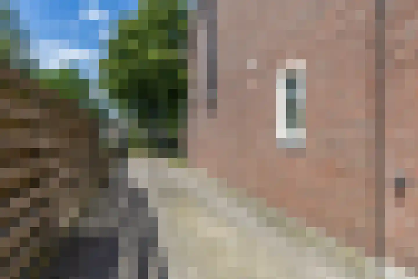 José Vigevenoweg 11 Sumar thumbnail 40