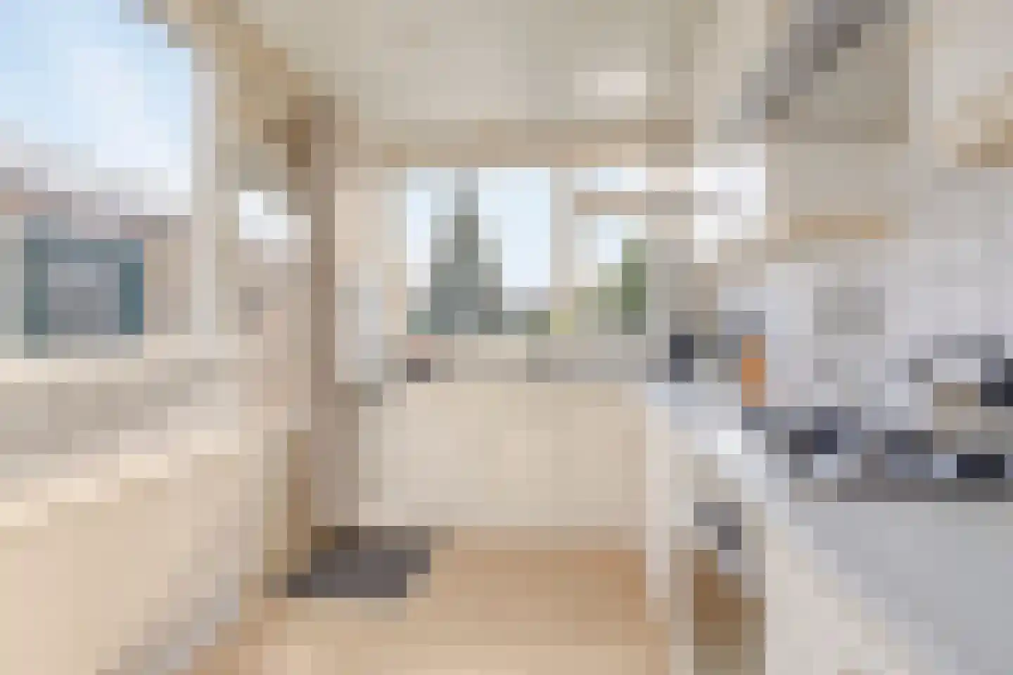 Josef Haydnlaan 46 Hengelo thumbnail 18