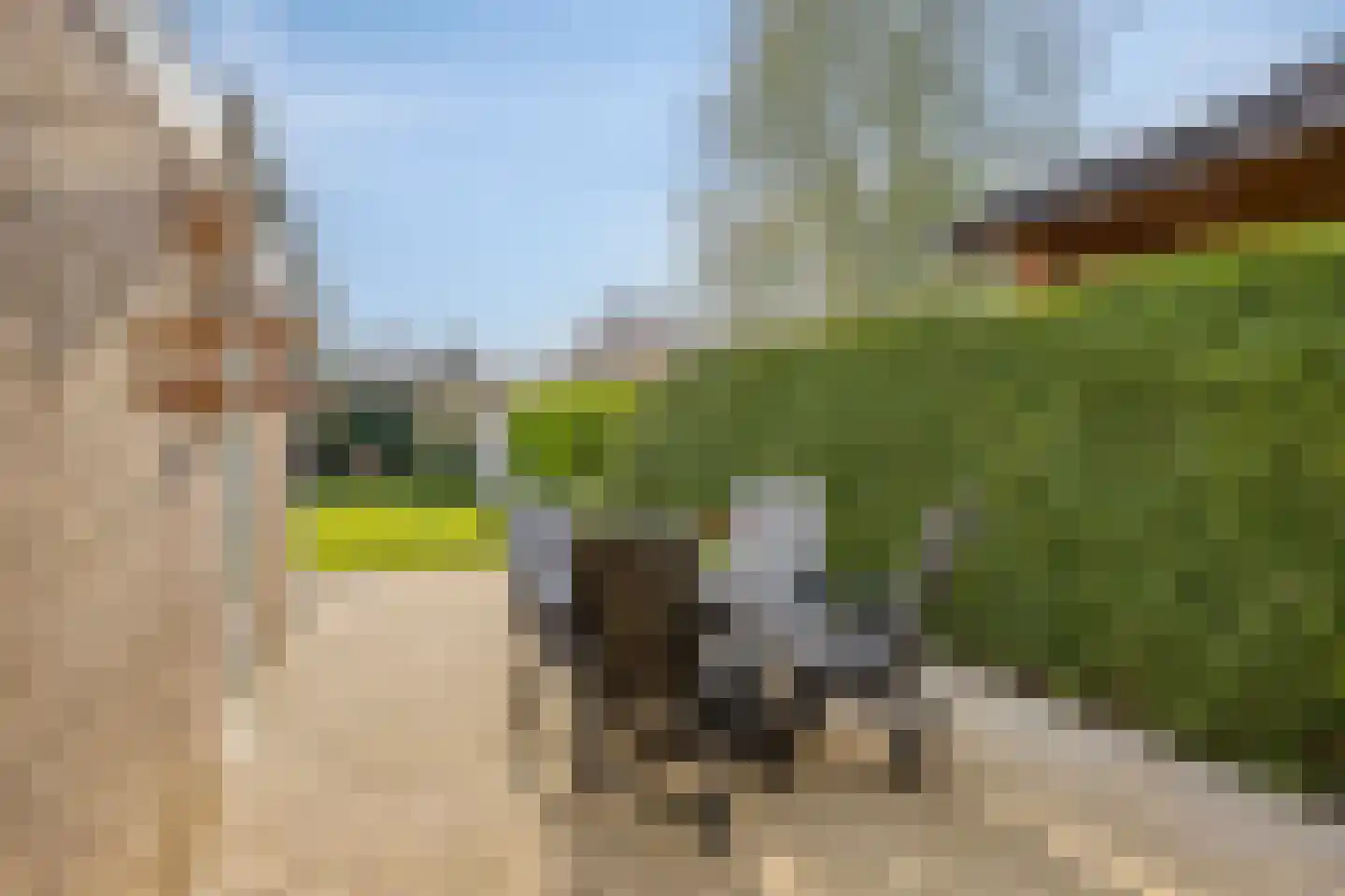 Josef Haydnlaan 46 Hengelo thumbnail 26