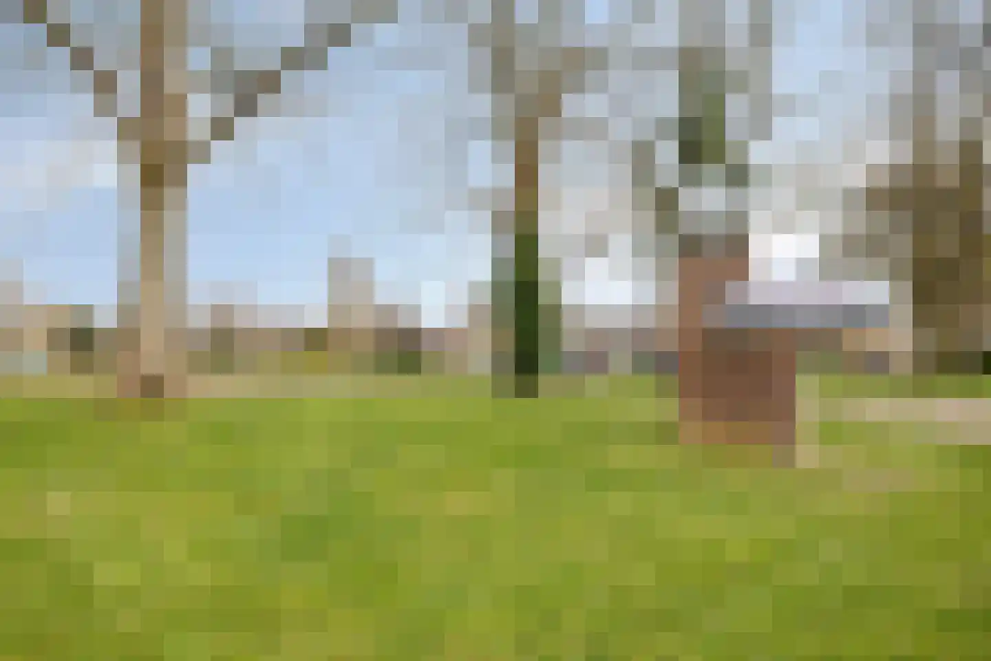 Josef Haydnlaan 46 Hengelo thumbnail 30