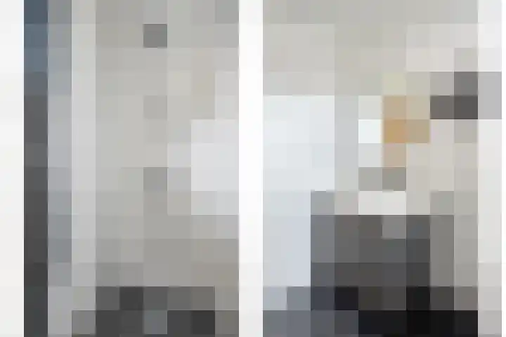 Josef Haydnlaan 48 I Hengelo thumbnail 7