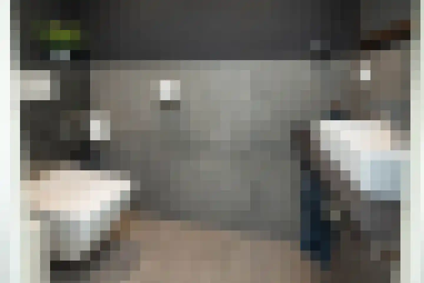 Josef Haydnlaan 6 Hengelo thumbnail 12