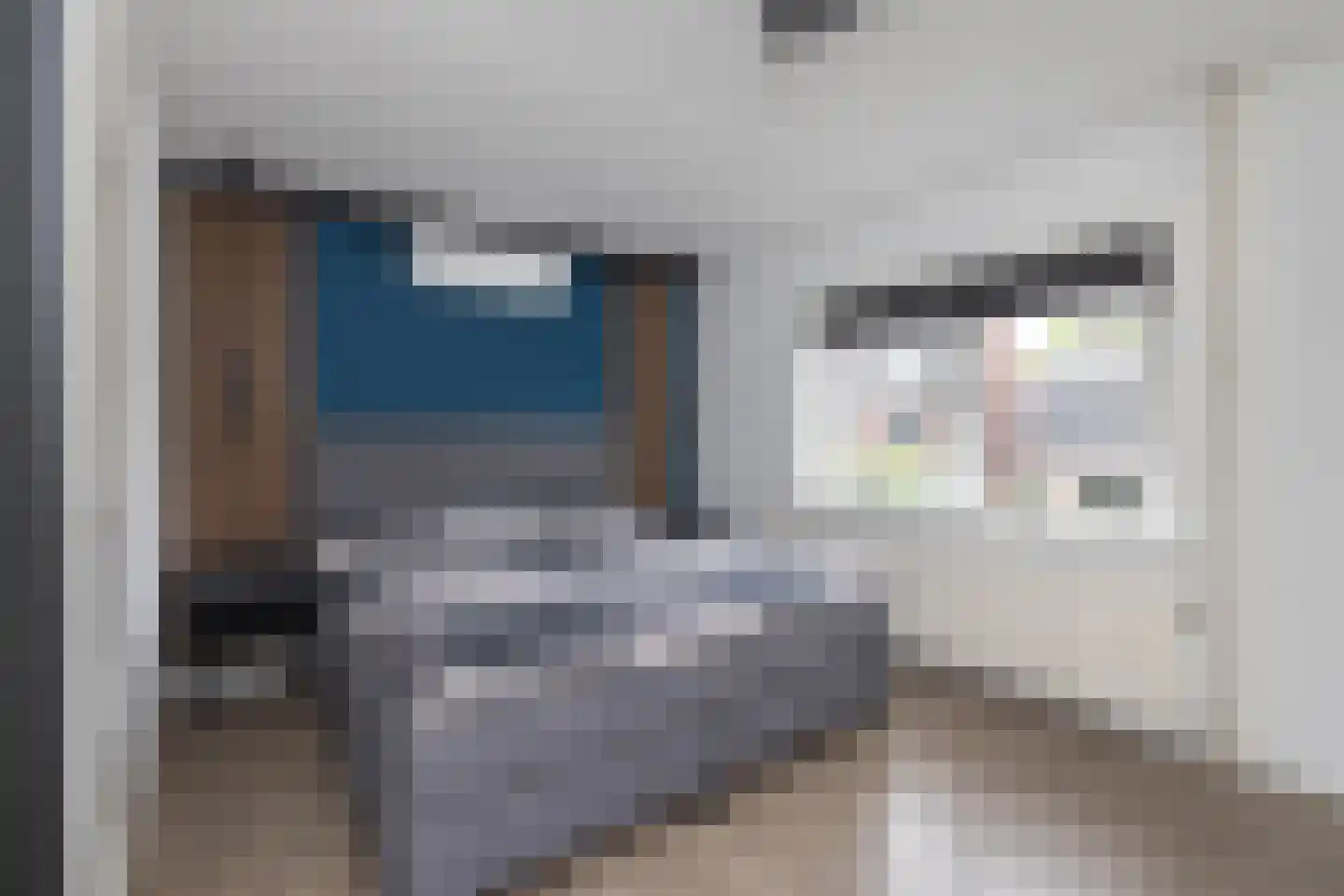 Josef Haydnlaan 6 Hengelo thumbnail 13