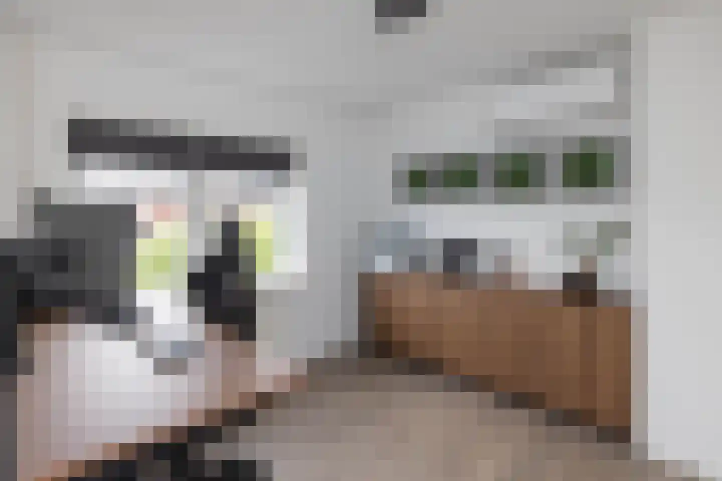 Josef Haydnlaan 6 Hengelo thumbnail 17