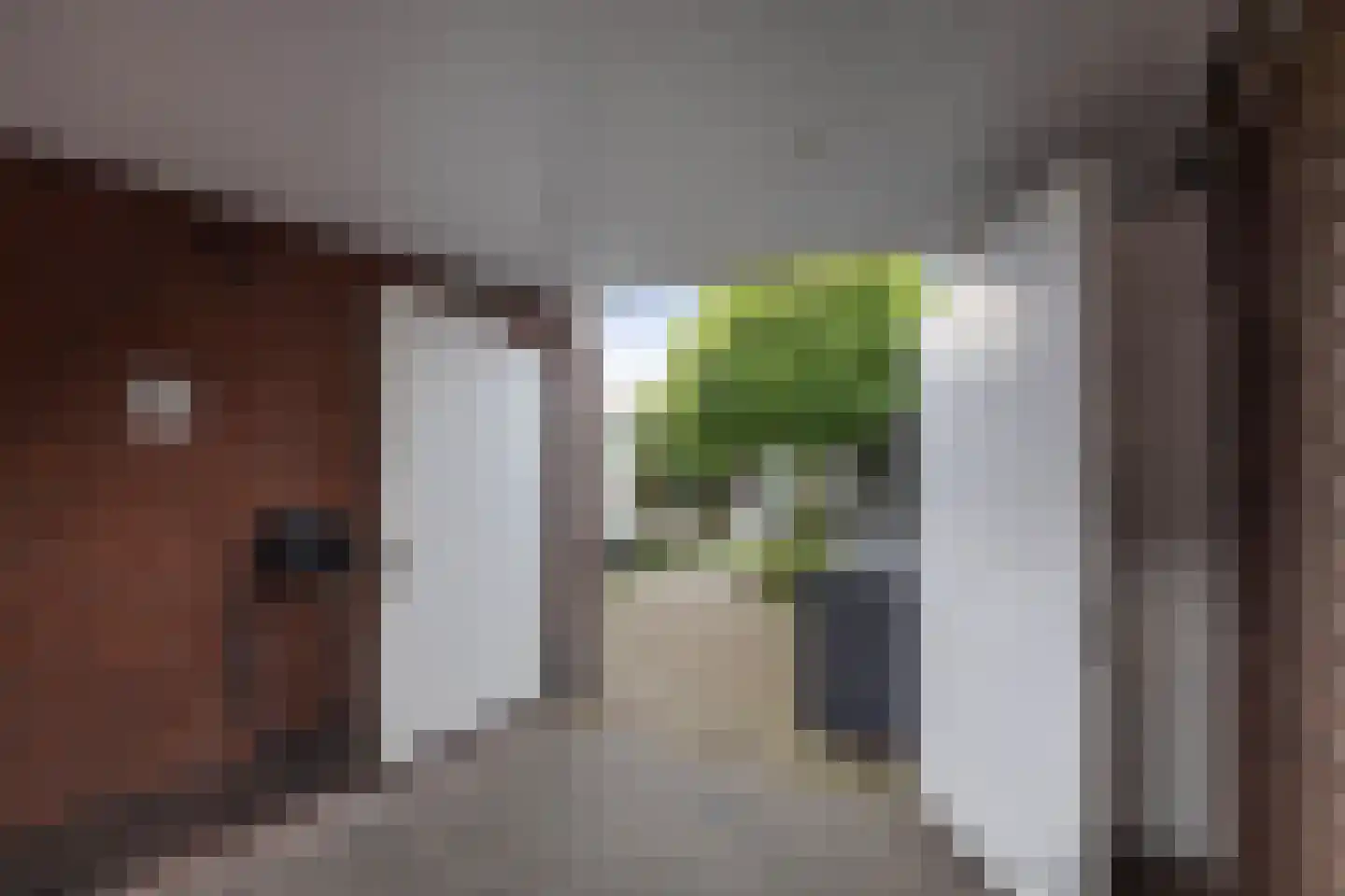 Josef Haydnlaan 6 Hengelo thumbnail 26