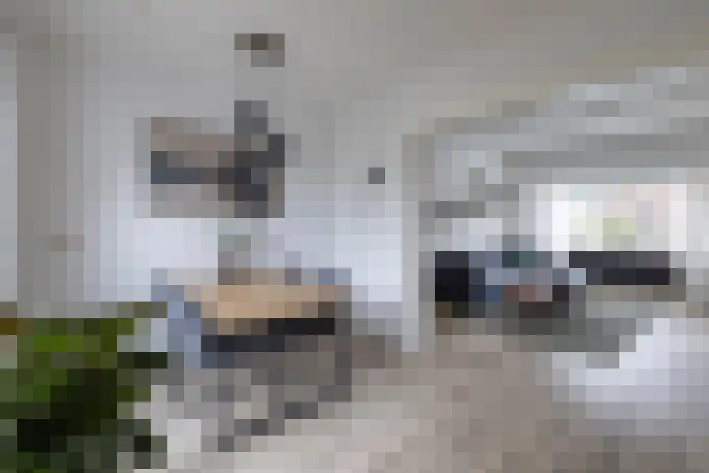 Josef Haydnlaan 6 Hengelo thumbnail 7