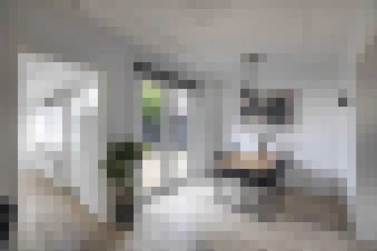 Josef Haydnlaan 6 Hengelo thumbnail 9
