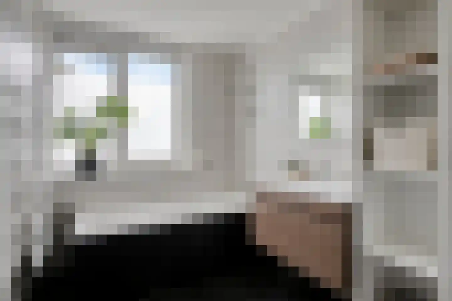 Josef Haydnstraat 17 Terneuzen thumbnail 19
