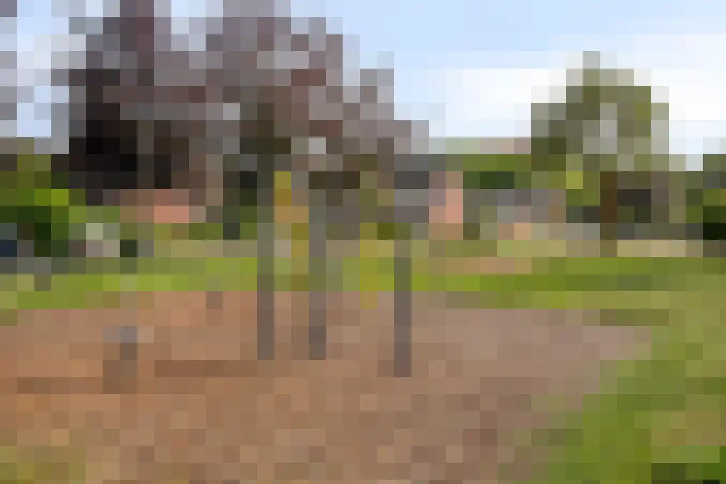 Josef Haydnstraat 17 Terneuzen thumbnail 31