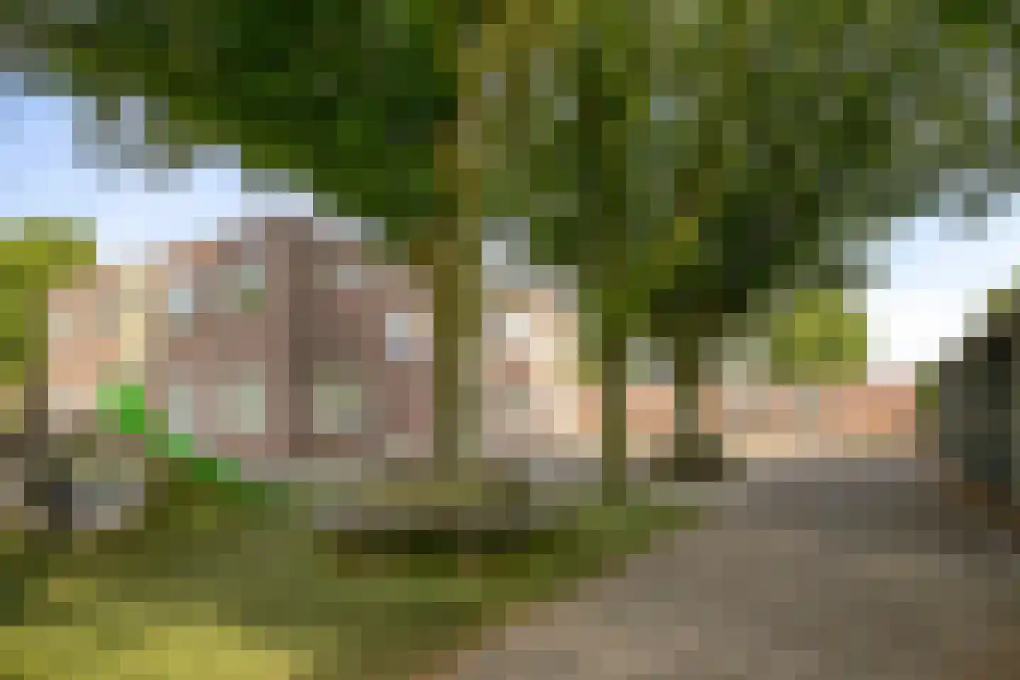 Josef Haydnstraat 17 Terneuzen thumbnail 32