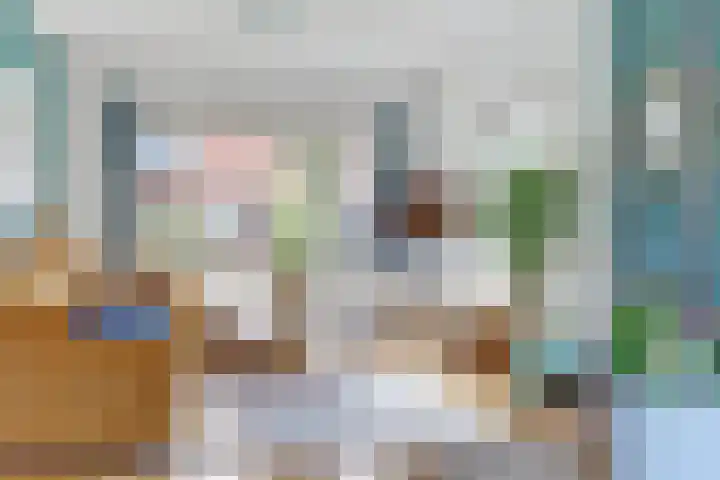 Josef Israëlslaan 102 Arnhem thumbnail 13