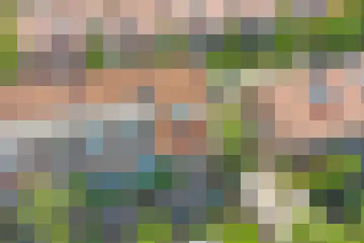Josef Israëlslaan 102 Arnhem thumbnail 30