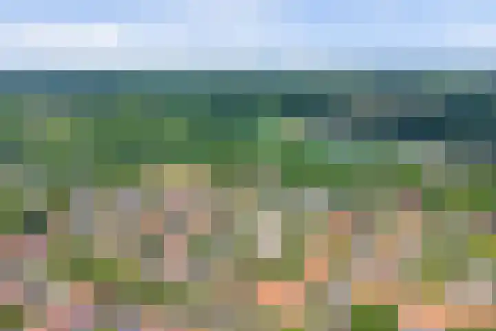 Josef Israëlslaan 102 Arnhem thumbnail 31