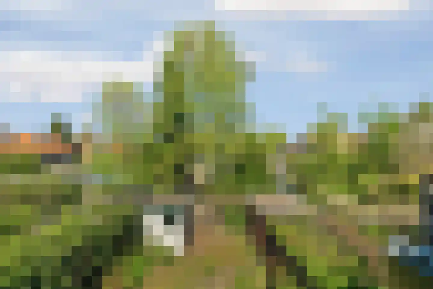 Josef Israëlslaan 108 Arnhem thumbnail 29
