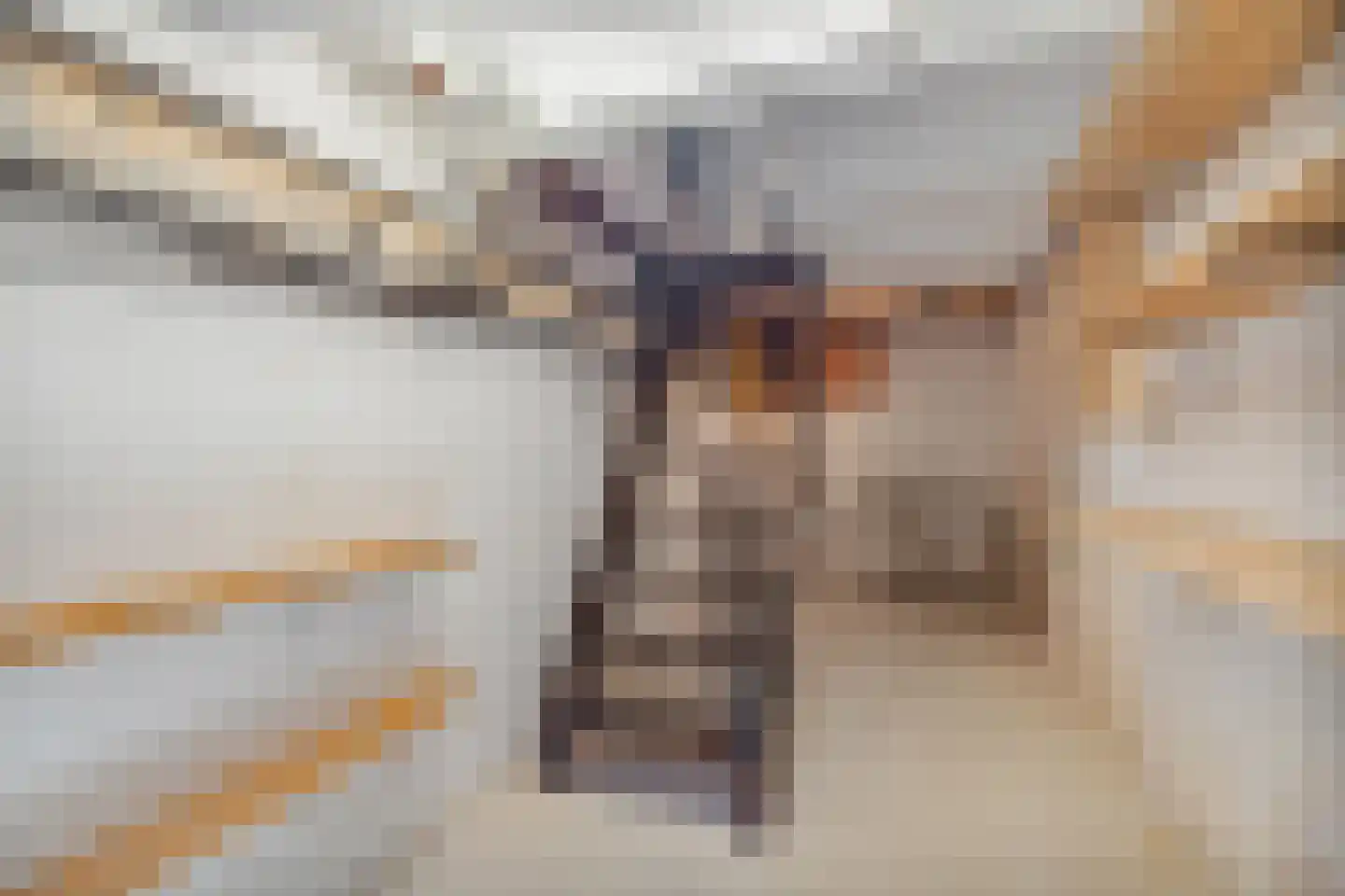 Josef Israëlslaan 108 Arnhem thumbnail 37