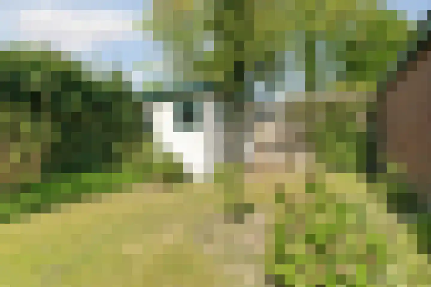 Josef Israëlslaan 108 Arnhem thumbnail 38