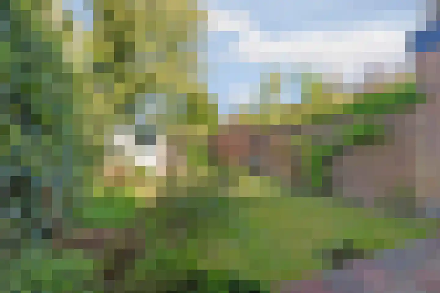 Josef Israëlslaan 108 Arnhem thumbnail 39